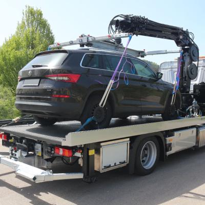 772 Reinsch 01