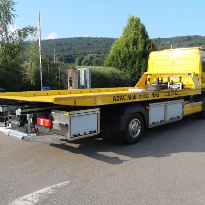 645 Widliczek 02